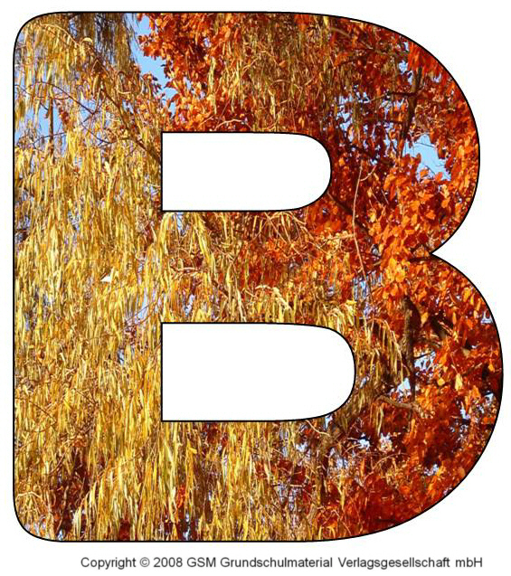 HerbstDEKOBuchstaben A und B MedienwerkstattWissen