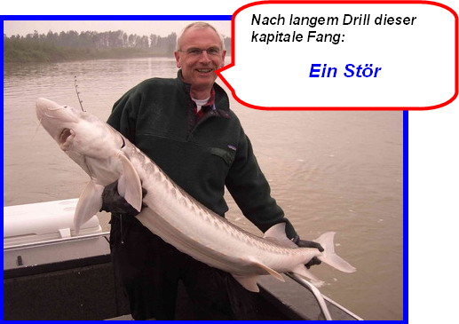 Stör - Ein großer Fang - Bildgeschichte - Medienwerkstatt-Wissen © 2006